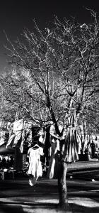 10505068_10152571843794789_1998793139227361069_o