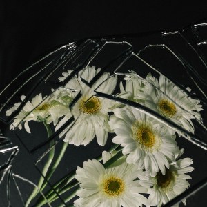 406b0ce8-b5eb-4c90-933f-b4c6ccf11fa5