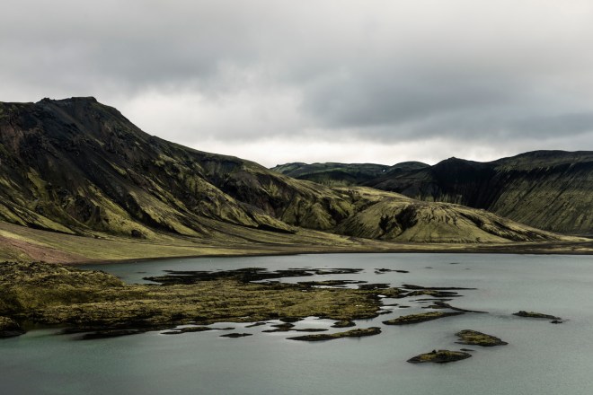 Kate Ballis x bul - Scarf - print